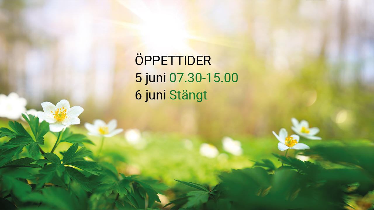 Öppettider Nationaldagen